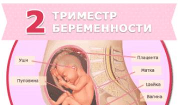 Беременность и простуда: профилактика и лечение орви, орз и гриппа Что можно пить для профилактики простуды беременным